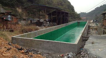 高密上韦树脂防腐胶泥2017推荐及其在防腐保温工程中的应用